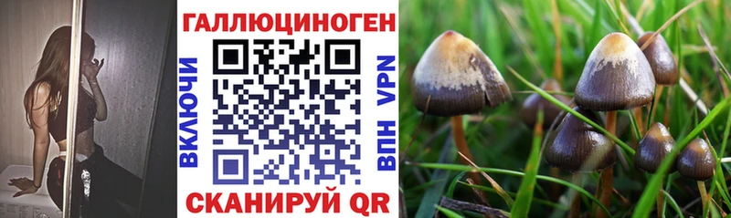 Псилоцибиновые грибы GOLDEN TEACHER Ивантеевка