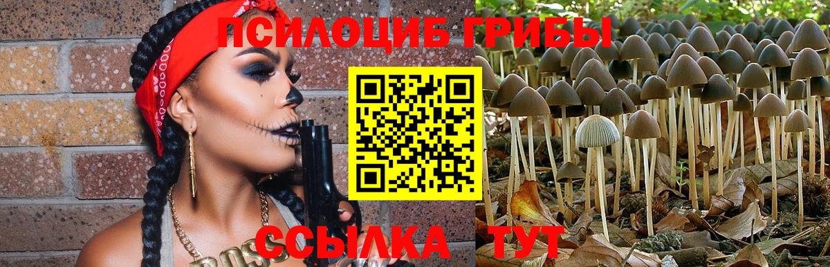 Псилоцибиновые грибы ЛСД  Галлюциногенные грибы мицелий  Ивантеевка 