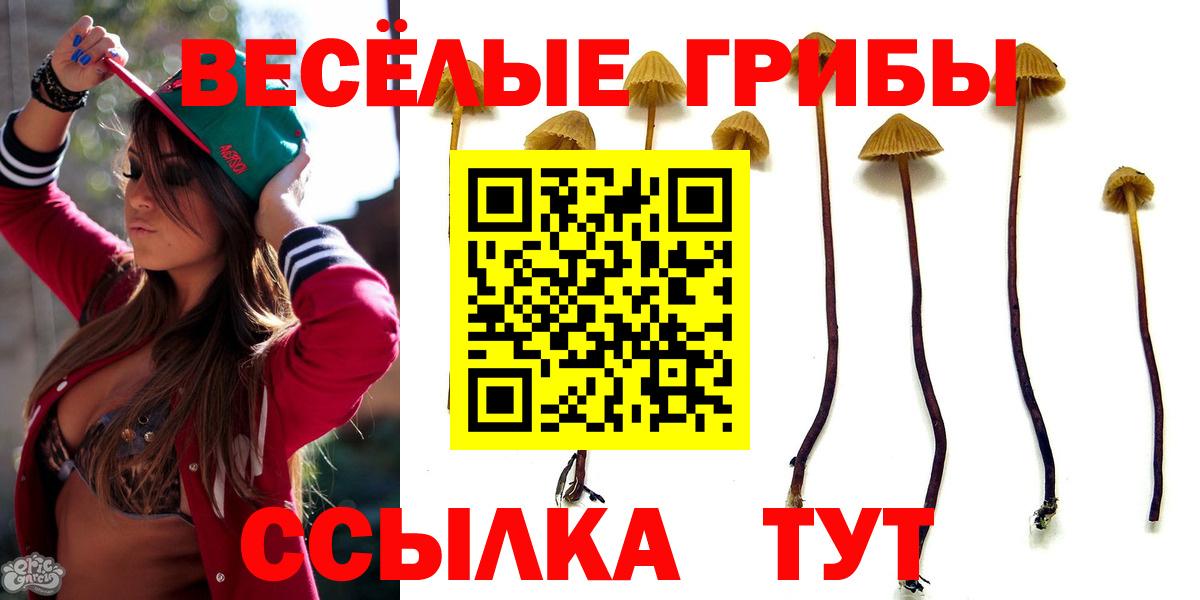 Ивантеевка  Псилоцибиновые грибы прущие грибы  Псилоцибиновые грибы MAGIC MUSHROOMS  Вход с VPN 